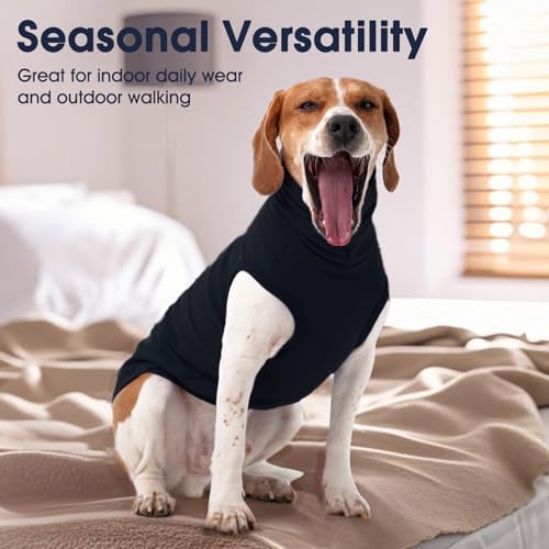 Small Dog Sweater (Medium / Black)