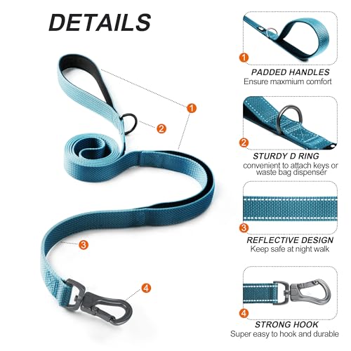 4FT 1IN Heavy Duty Dog Leash for Large Dogs with 2 Padded Handles (Blue / 1 in x 4 ft)