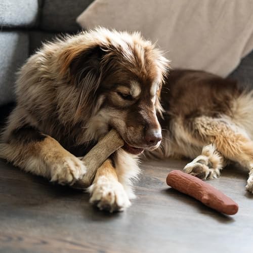 Dogwood Mesquite Stick Dog Chew Toy (Dogwood & Mesquite)