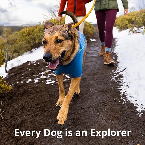 Roamer Bungee Dog Leash (7.3'-11' / River Rock Green)