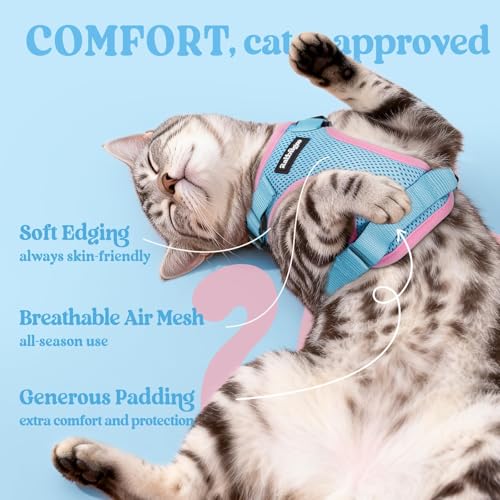 Cat Harness and Leash Set (M / Light Blue & Pink)