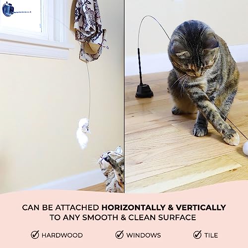 Interactive Bird Simulation Cat Toy Set (Bird Toy Set with 5 Birds)
