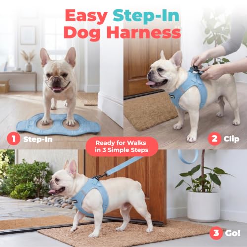 Voyager Step in Air Dog Vest Harness (Baby Blue / XL (Chest: 20.5 - 23"))
