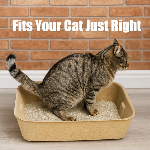 8 Pack Disposable Litter Boxes for Kitty Cats (Brown)