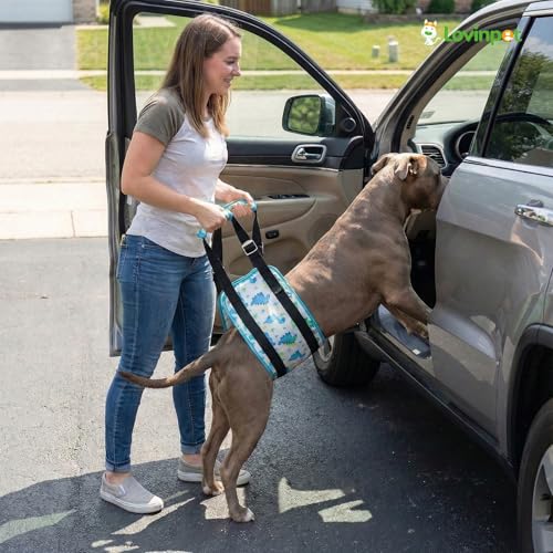 Dog Lift Harness Rear Support Sling (White)