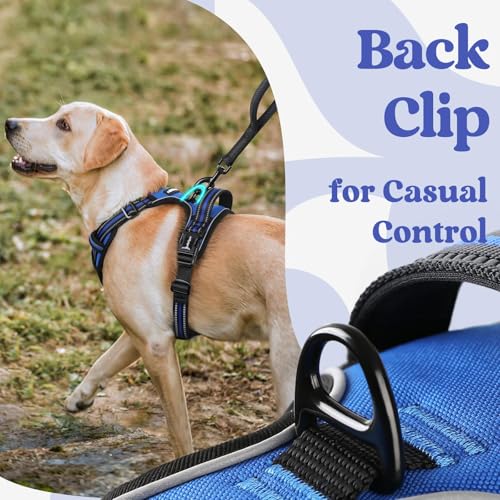 Dog Harness Small Sized (Small / Blue)