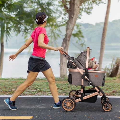Dog Stroller with Detachable Carrier (Grey)