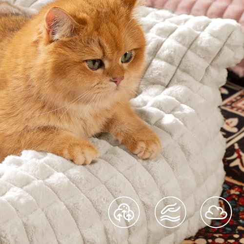 Cat Couch Bed with Fluffy Faux Rabbit Fur for Indoor Cats (Off White / Medium: 30"L x 20"W x 10"Th)