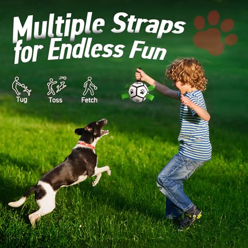 Small Dog Toys (Black Green / 5 Inch)