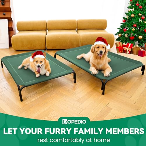 Elevated Dog Bed Raised Outdoor Dog Cot for Medium Dogs (M-35.4"L×25.6"W×7.9"Th / Green)