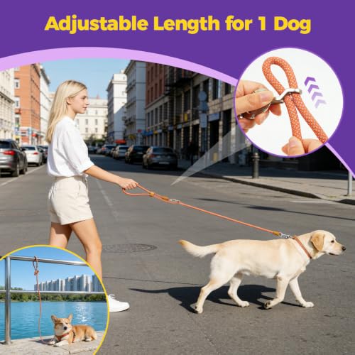 Hands Free Double Dog Leash 2 (Orange)