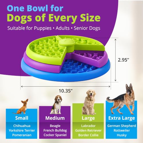 Slow Feeder Maze Dog Bowl