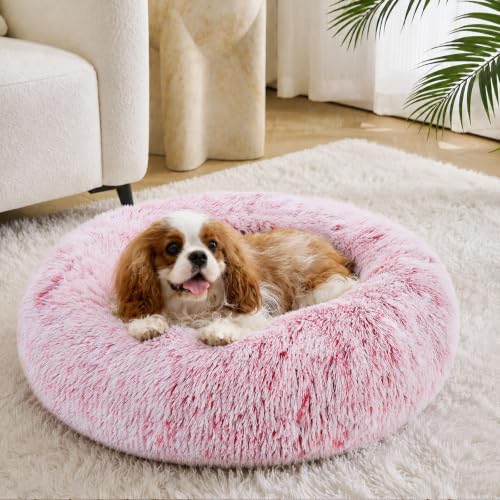 Calming Small Pink Dog & Cat Bed for Indoor Cats (Smoke Pink / 20.0"L x 20.0"W x 6.0"Th)