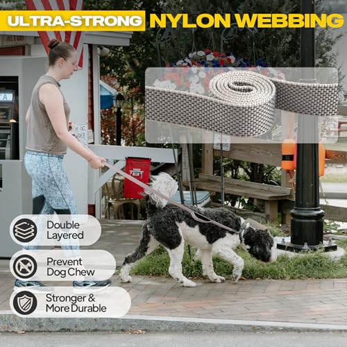 10 FT Heavy Duty Dog Leash (10 Feet (Pack of 1) / Grey)