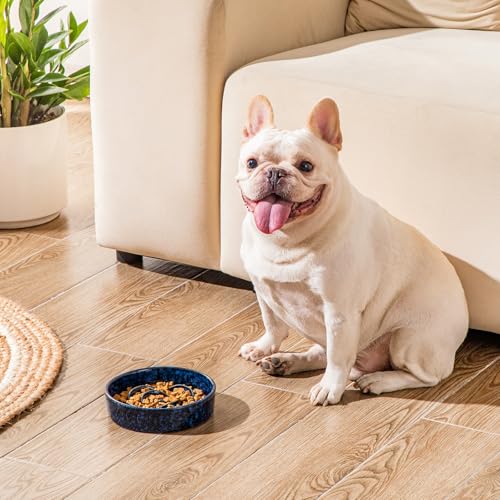Slow Feeder Dog Bowl (S - 0.6 Cups / Blue)