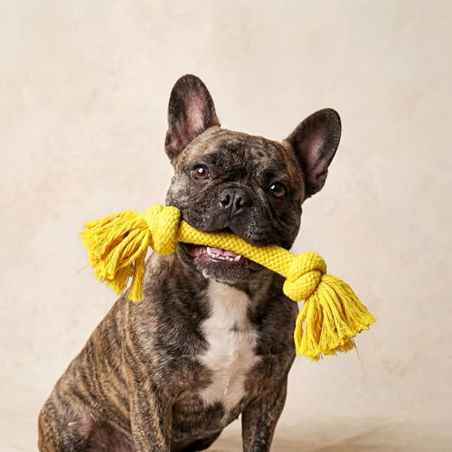 Dog Toys | Dri-Tech Rope Toy Tug of War Rope for Aggressive Chewers | Medium Chicken Scented Toy - Easy to Clean and Made from Non Toxic Materials (Medium / Chicken)