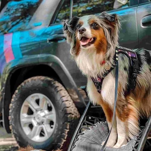 Tactical Dog Harness for Large Dogs (Camo - Purple Camo / XL(Neck:20-31",Chest:26-42"),75-135 lbs)