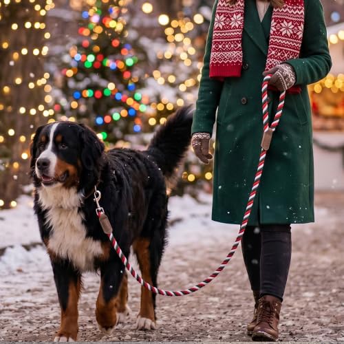 Rainbow Dog Leash Braided Cotton Rope w Leather (Red/Green / 72 Inch-1/2")