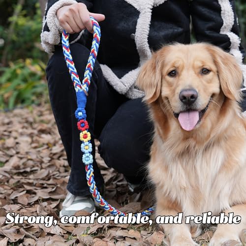 5FT Braided Cotton Rope Leash for Small (Colorful Carousel)