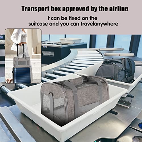 Cat Carrying Case (grey / 20.0"L x 13.0"W x 13.0"H)