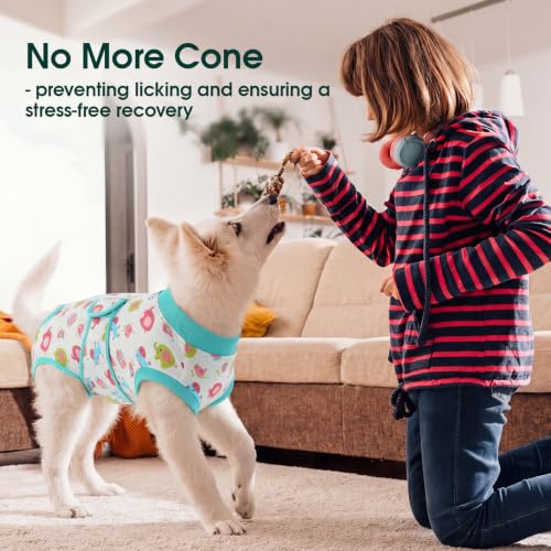 Dog Recovery Suit (Mint Green / Large)