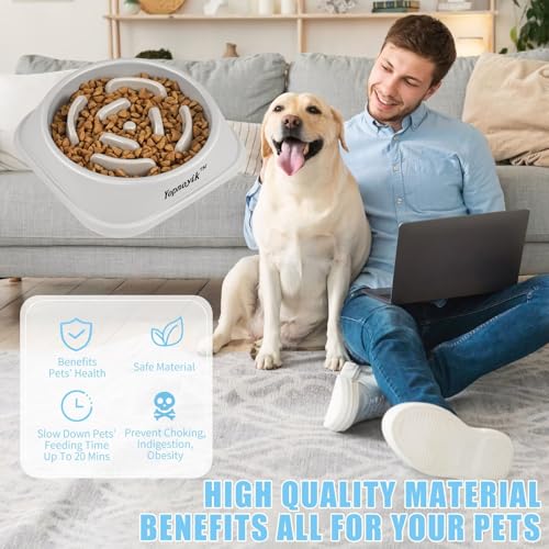 Slow Feeder Dog Bowls for Medium Dogs & Cats (Medium / Grey)