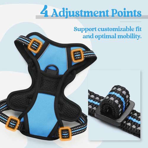 Dog Harness No Pull for Small Dogs with 2 Leash Clips (X-Small / Blue)