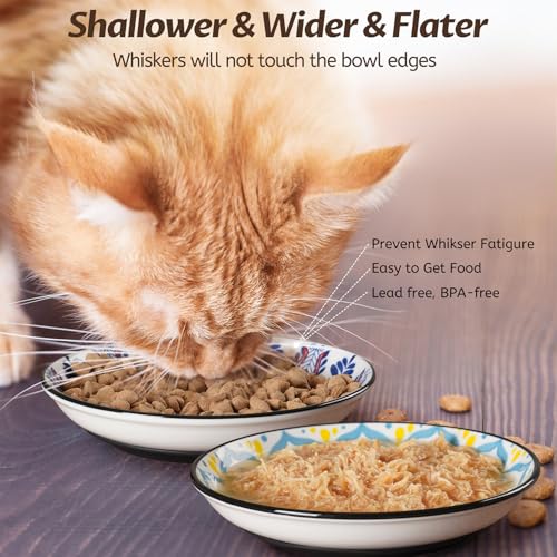 Non Slip Cat Bowl (Bohemian-4 Pack)