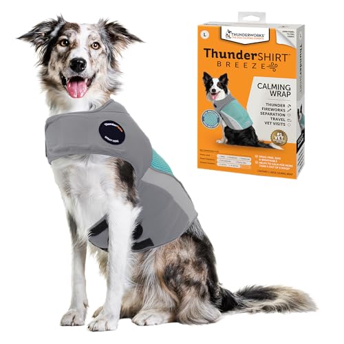Breeze for Dogs Calming Anxiety Vest (Aqua / Large)