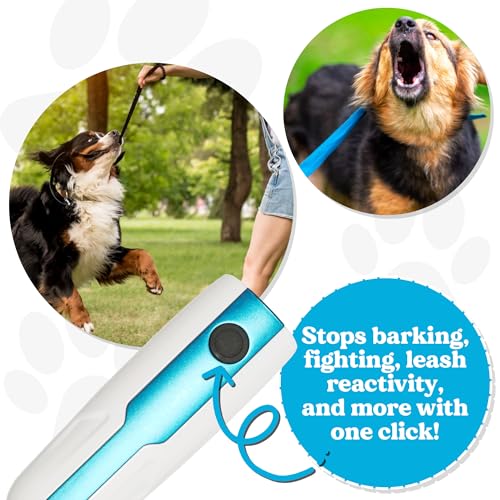 Doggie Don’t Anti Barking Device for Dogs (Blue, Replaceable Batteries)