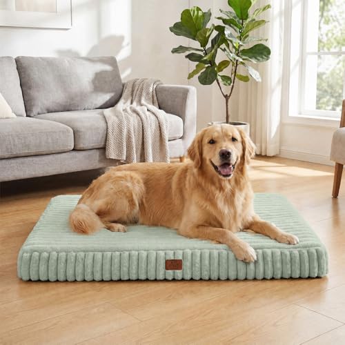 Orthopedic Dog Bed for XXL Dog (Green / 47"x29"x4")