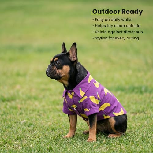 Banana Dog Shirt (XX-Large / Banana)