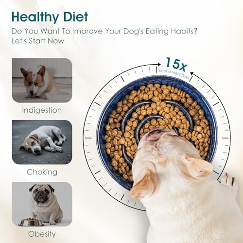 Slow Feeder Dog Bowl (S - 0.6 Cups / Blue)
