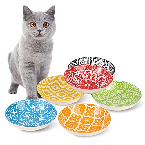 Ceramic Cat Dishes for Food (Colorful 1)