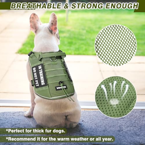 Service Dog in Training Mesh Harness with 10 Removale Pet Patches (Large / Green)