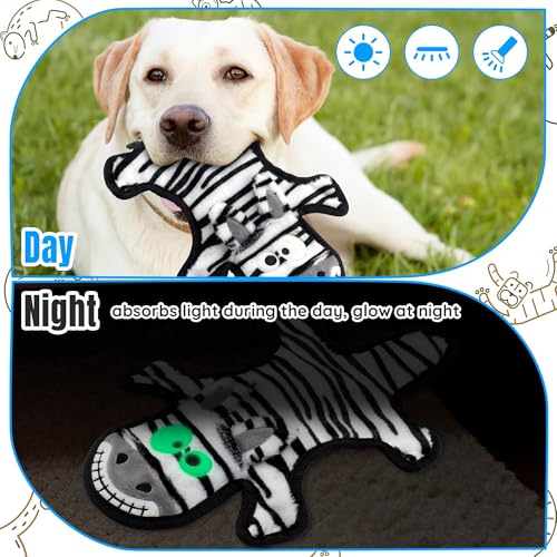 No Stuffing Dog Squeaky Toys (5pack)