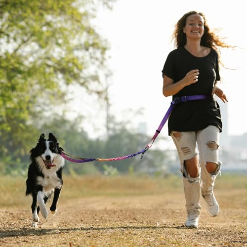 Hands Free Dog Leash for Medium Large Dogs Heavy Duty (Mistyrose)