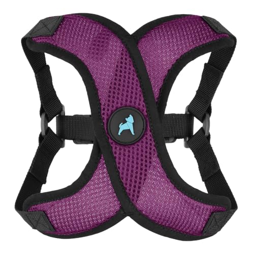 Comfort X Step (X-Large (22-28") / Purple)