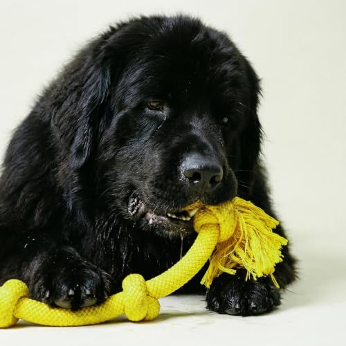 Tug Rope Dog Toys for Large Breed Dogs (Mega / Chicken)