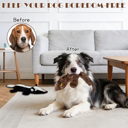 No Stuffing Dog Squeak Toys (Black, dark brown)