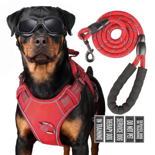 Dog Harness and Leash Set for Small Dogs (Red / S)
