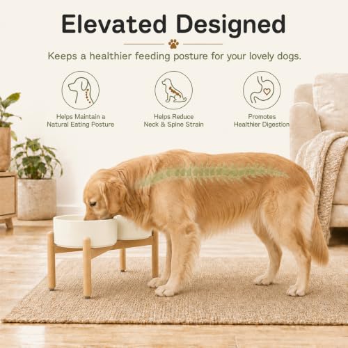 Ceramic Dog Bowls Elevated (Light Yellow)