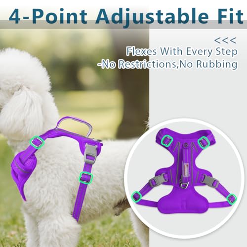 No Pull Dog Harness for Small Sized Dogs (Small(Chest:19.5-26”) / Purple)