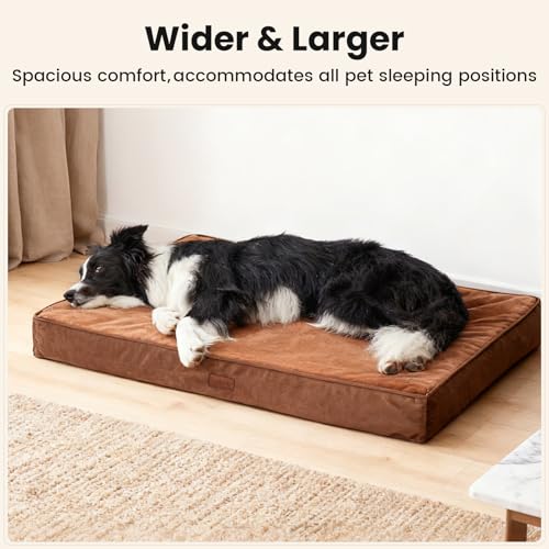 Orthopedic Waterproof Med Large Dog Bed (36" x 27" x 3.5" (For Sprawling) / 04-Brown)
