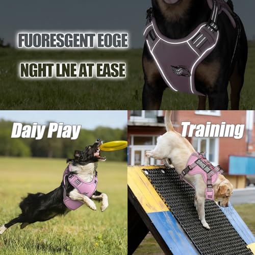 Dog Harness and Leash Set for Medium Dogs (Pink / M)