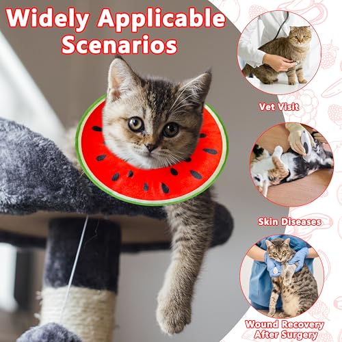 Cat Cone Collar Soft (Watermelon / Large)
