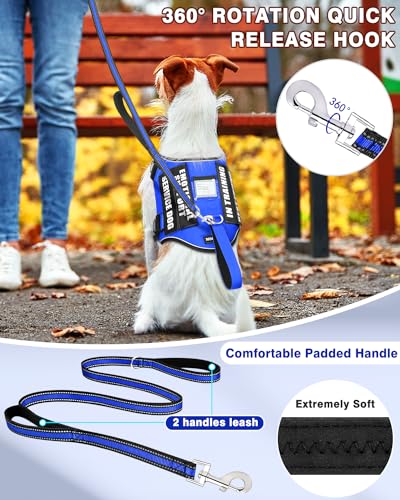 Small Service Dog Vest Harness and Leash Set+10 Patches Blue XS (Extra-Small / Blue)