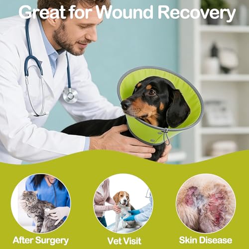 Dog Cone Collar Adjustable After Surgery (Green / (Neck:8"-10"))