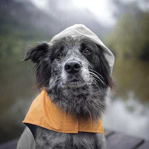 Dog Raincoat with Reflective Strip (L / Grey)