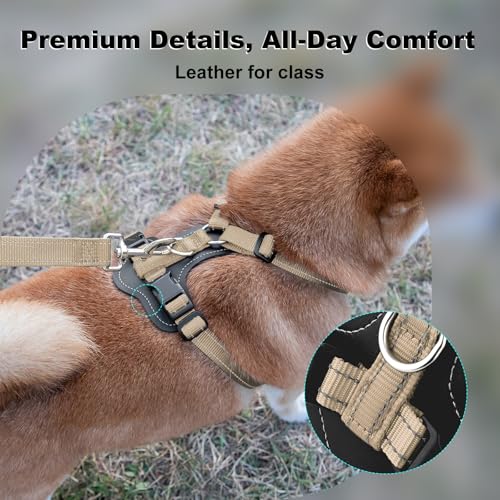 No Pull Dog Harness with Leather Accents (L / Beige)